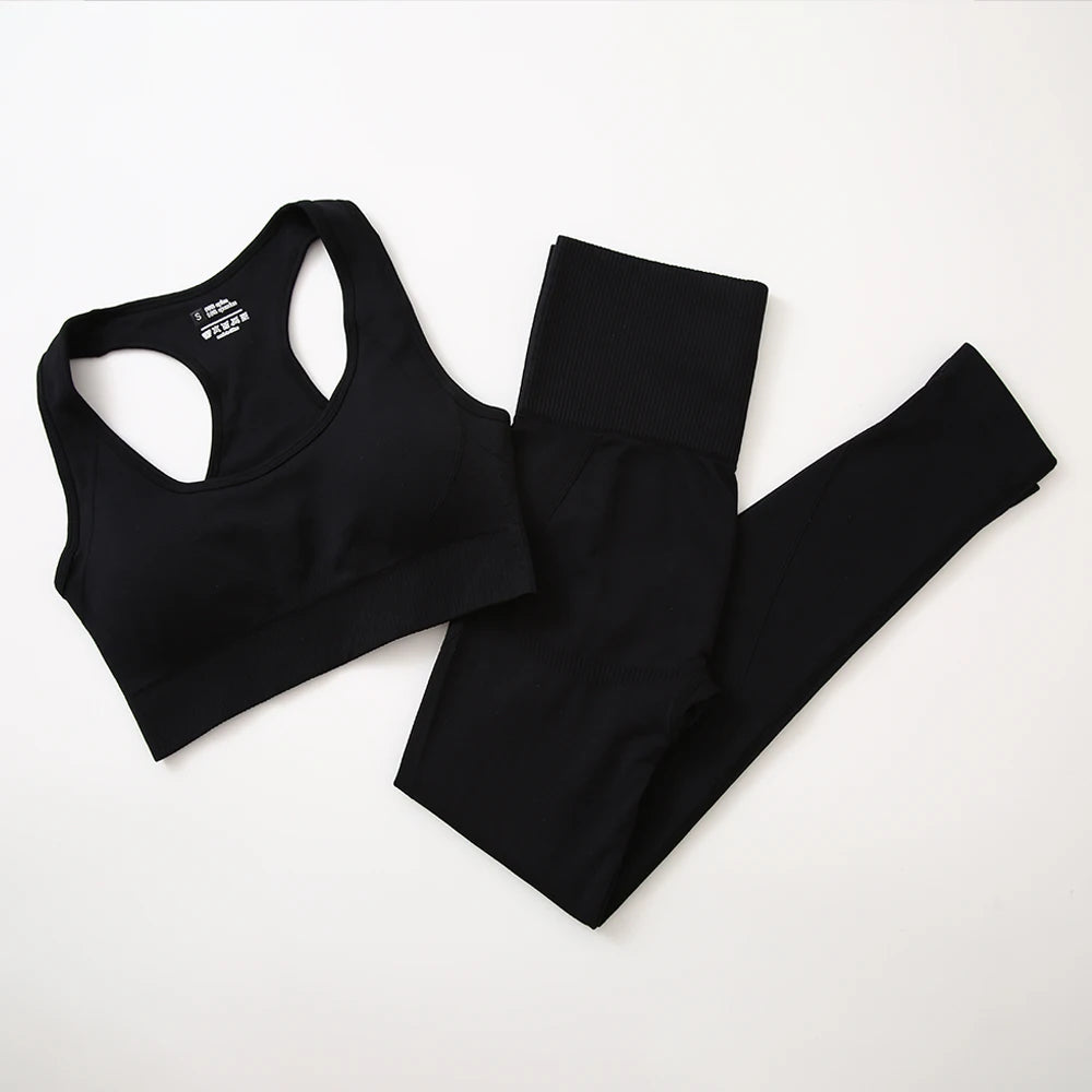 Seamless Women Fitness Yoga Set - Ngu activewear