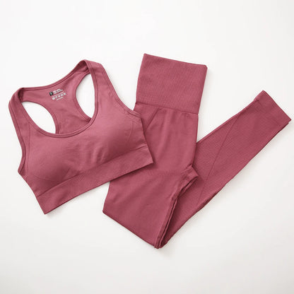 Seamless Women Fitness Yoga Set - Ngu activewear